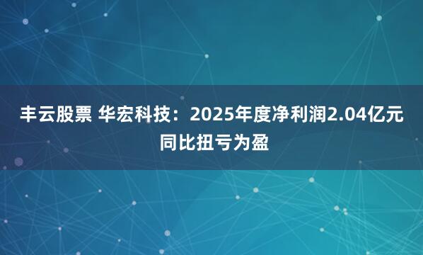 丰云股票 华宏科技：2025年度净利润2.04亿元 同比扭亏为盈