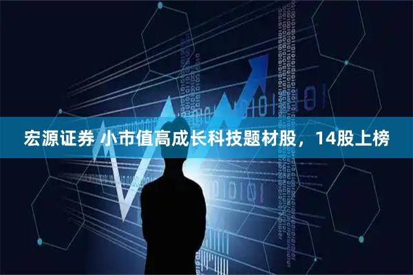 宏源证券 小市值高成长科技题材股，14股上榜