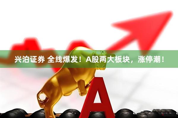 兴泊证券 全线爆发！A股两大板块，涨停潮！