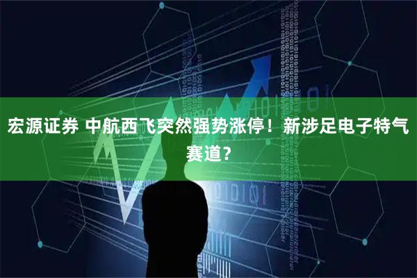 宏源证券 中航西飞突然强势涨停！新涉足电子特气赛道？